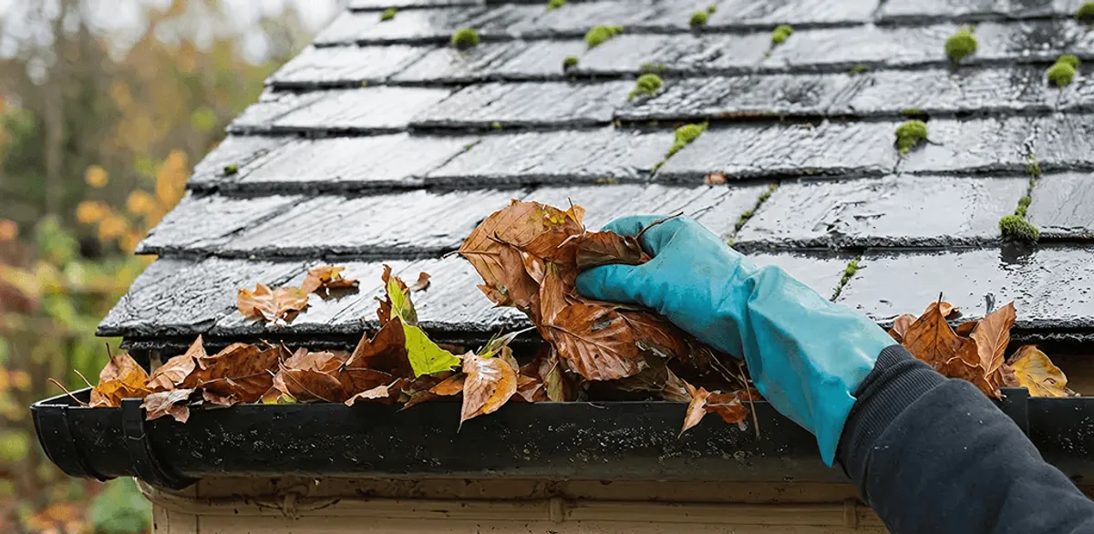 Gutter cleaning technician clearing wet leaves from roof gutters in Chandler, AZ